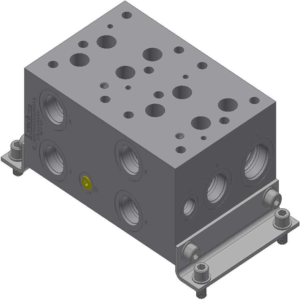 D08 2-STN PARALLEL MANIFOLD