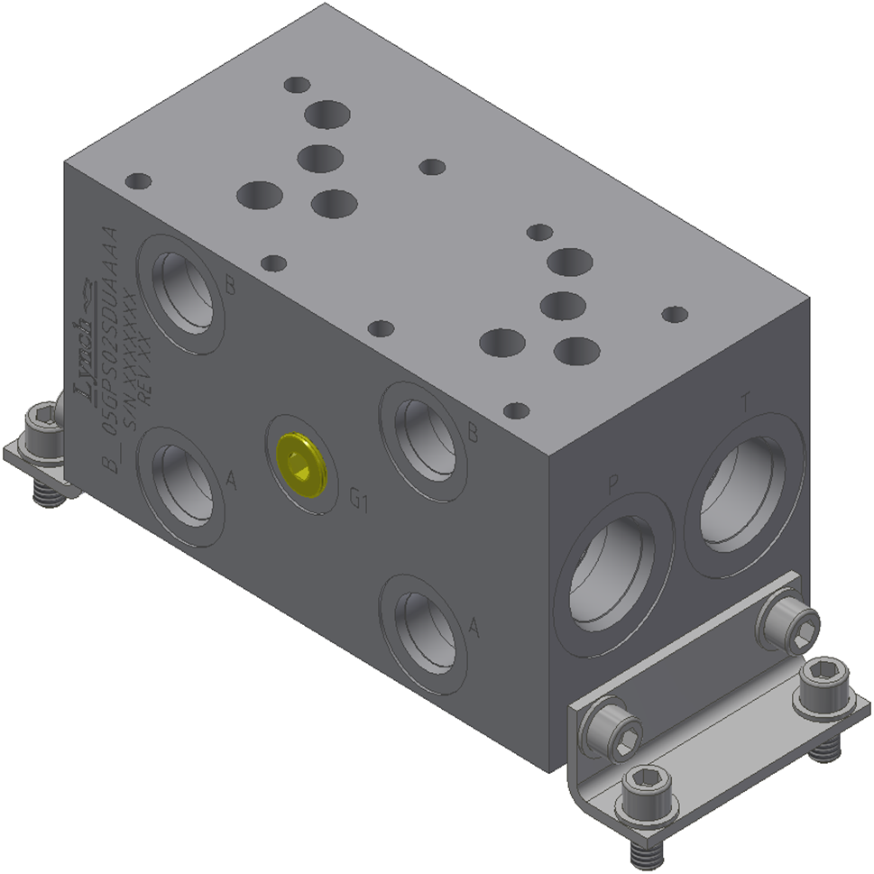D05  2-STN PARALLEL MANIFOLD
